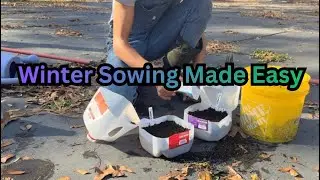 Winter Sowing 101 | Waiting On Spring Ep 4 #viralvideo #gardendelight #garden #viral #wintersowing 