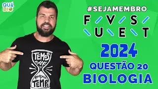 FUVEST 2024 - O gráfico a seguir ilustra o perfil de digestão de quatro substâncias no organismo hum