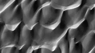 Mars Dunes in Late Fall: Frost in the Ripples