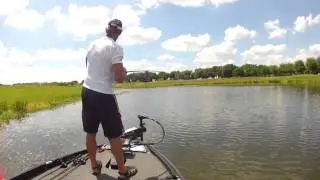 BIG BASS JACK CRUSHES HAWGS WITH  TOPWATER FROGS!