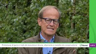 Maculatura bruna: come difendere il pero?