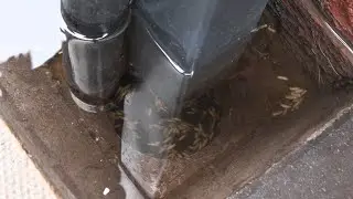 Rain Water Gully Unblock FULL of Maggots 🤢