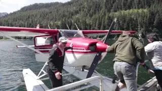 Aerial Herring Surveys in Prince William Sound