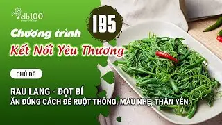 KNYT #195: Rau lang - đọt b&iacute; ăn đ&uacute;ng c&aacute;ch để ruột th&ocirc;ng, m&aacute;u nhẹ, thận y&ecirc;n? 23-01-2026
