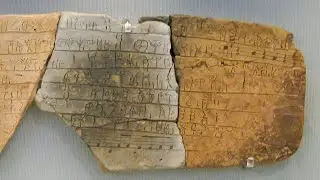 The Mother Of All Languages 🏮