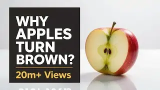 Why Do Apples Turn Brown? | Easy Science Explained 🍎