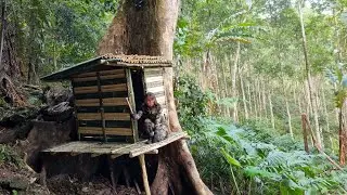 Bamboo House in the Giant Tree Hollow: Girl's Ultimate Jungle Survival Skills - Wild Beauty