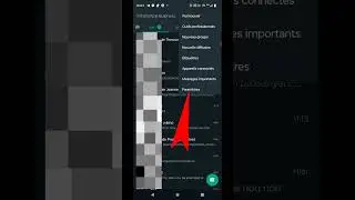 Comment lire les messages WhatsApp sans &ecirc;tre vu (sans confirmation de lecture #shorts