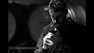Oldenburg Vineyards - Rondekop Translated