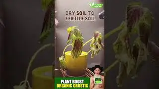 India&rsquo;s No.1 Organic Plant Growth Booster | For Indoor & Outdoor Plants 🌿