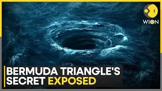 Bermuda Triangle Mystery: Scientists Expose The Triangle's Secret | WION News