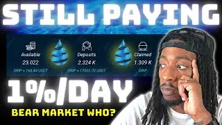 DeFi Passive Income in a Bear Market | Drip Network