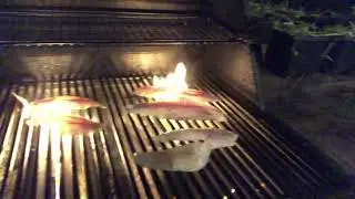 Barbecue Over Hot Open Flame  #sear #grill marks #grilling #sea bass #hot flame