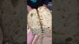 Testing different cold-proof timing... Overnight vs 3 days results