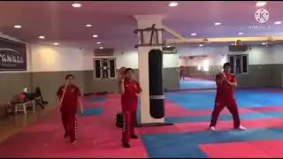 Lasudu System Three level Half Strikes