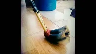 انويع مطريشي