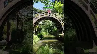 The Best Garden in San Francisco!