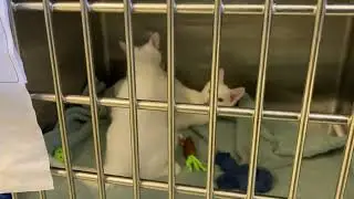 Casper & Tommy - two wild and crazy guys