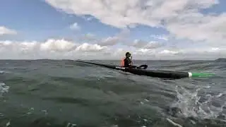 Putting the ski in surfski on a downwind paddle from South San Francisco to Foster City