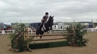 TSR/HOYS Showing Master Class WHP Selection