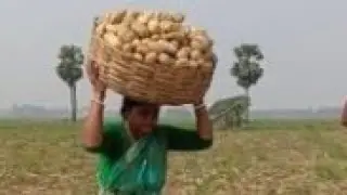 Madhabi lifestyle is live এখন লাইভ তারকেশ্বর থেকে