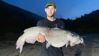 Bowfishing BIG Fish at Night for Carp and Catfish