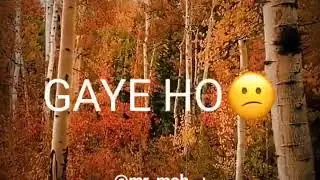 Murshad Shayari whatsapp status || sad shayari whatsapp status || it's mohsin