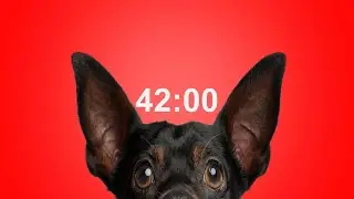 42 Minute Timer for School & Homework  Dog Bark Alarm Sound  Improve Focus & Productivity