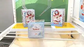Re: Life in a Different World from Zero SSS Figure -Rem Red Hood- Pearl Color Ver