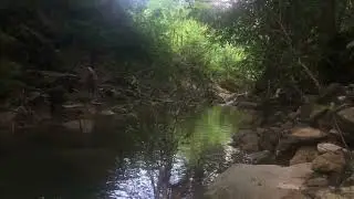 Guided Success Visualization