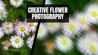 The Most Beautiful Way to Photograph Flowers?