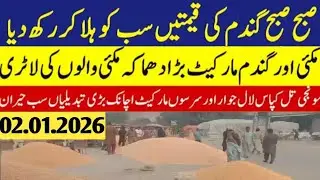 Today Wheat price in punjab//2026/munji makki till sarso/Galla mandi rate today // 02.01.2026