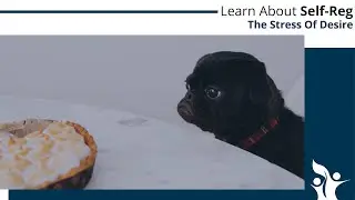 The Stress of Desire | Dr. Stuart Shanker and Susan Hopkins of The MEHRIT Centre