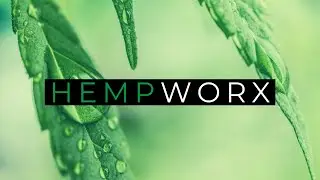 HEMPWORX CBD Oil Review