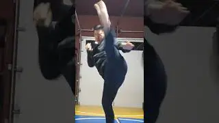 WTD 2 Step Kick Combination 22 (short)