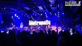 Metropolis – Love Me Like a Reptile (Motörhead cover) | Veliki poklon legendam | Cvetličarna