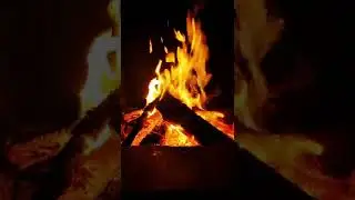 Vikings fireplace