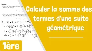 Comment calculer la somme des termes d'une suite géométrique ?