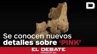 Rosa Huguet da nuevos detalles de Pink: «Nos permite conocer cómo vivían estos primeros homínidos»