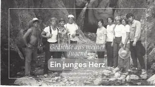 Gedichte aus meiner Jugend. Ein junges Herz