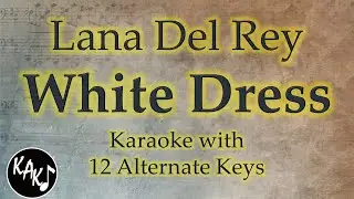White Dress Karaoke - Lana Del Rey Instrumental Lower Higher Male Original Key
