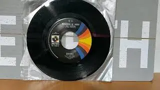 Disco de Divine 7