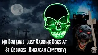 No Dragons, Just Barking Dogs at St. George's Anglican Cemetery!!!