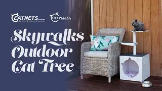 Skywalks Outdoor Cat Tree