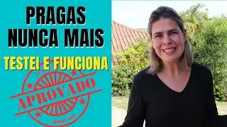 TESTADO E APROVADO:  o produto CONTRA PRAGAS nas minha suculentas/Grazi Bittencourt