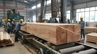 Peeking into a wood processing plant - sawing large logs into 15x15 beams