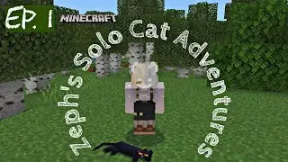 Zeph's Solo Cat Adventures in Minecraft | Origins Mod