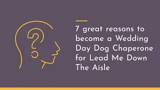 Seven great reasons to become A Wedding Day Dog Chaperone