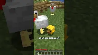 La mise &agrave; jour la plus MIGNNONE ?