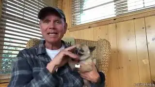 FUNNY DOG VINES PART 2 #dog #funnyvideo